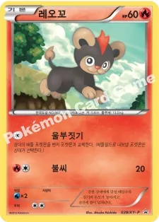 레오꼬