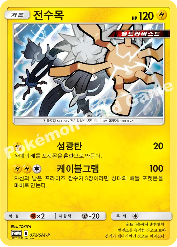 전수목