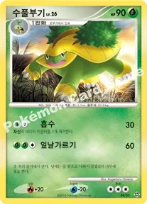 수풀부기