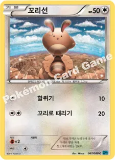 꼬리선