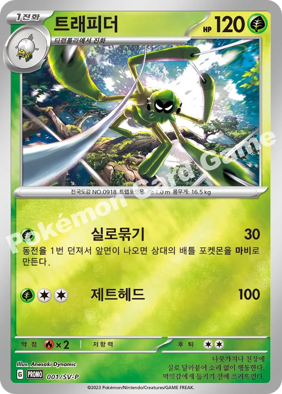 트래피더