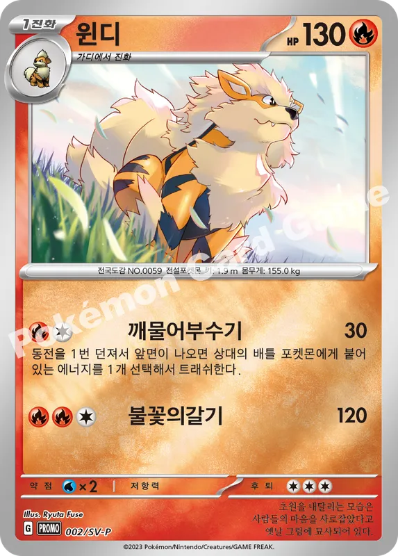 윈디