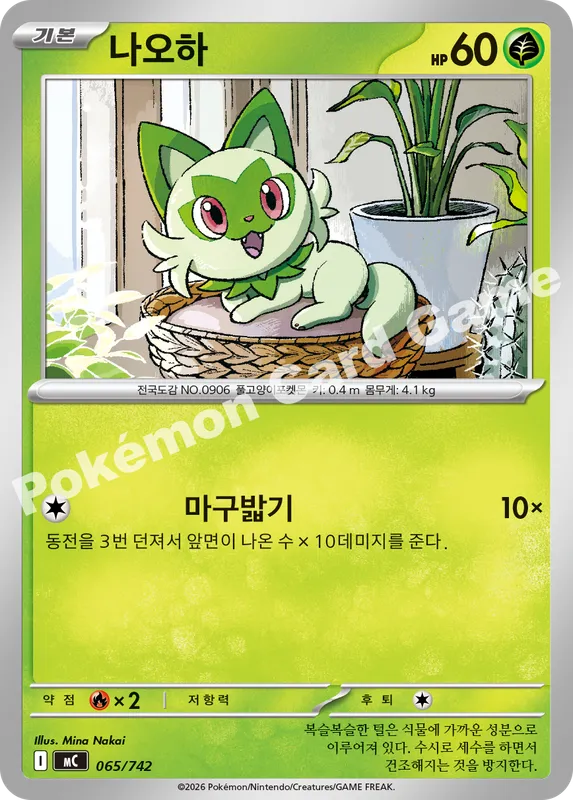 나오하