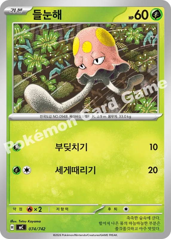 들눈해