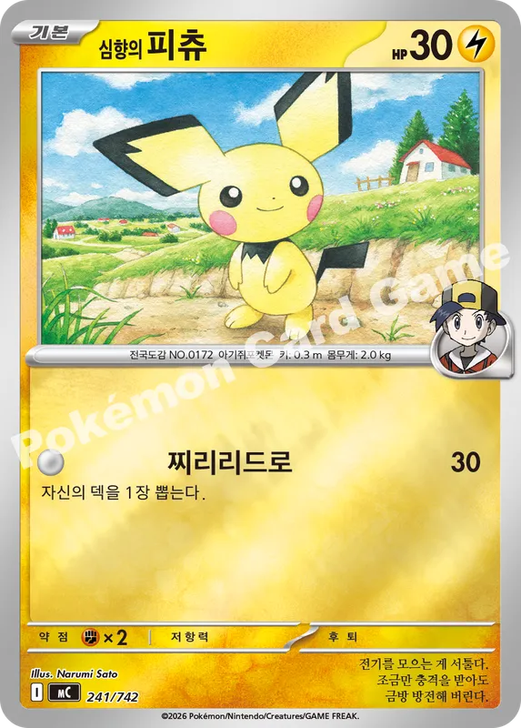 심향의 피츄