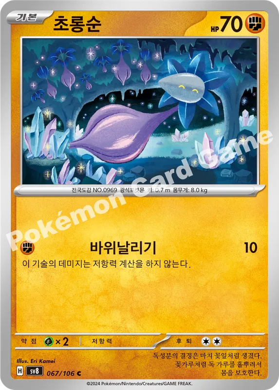 초롱순