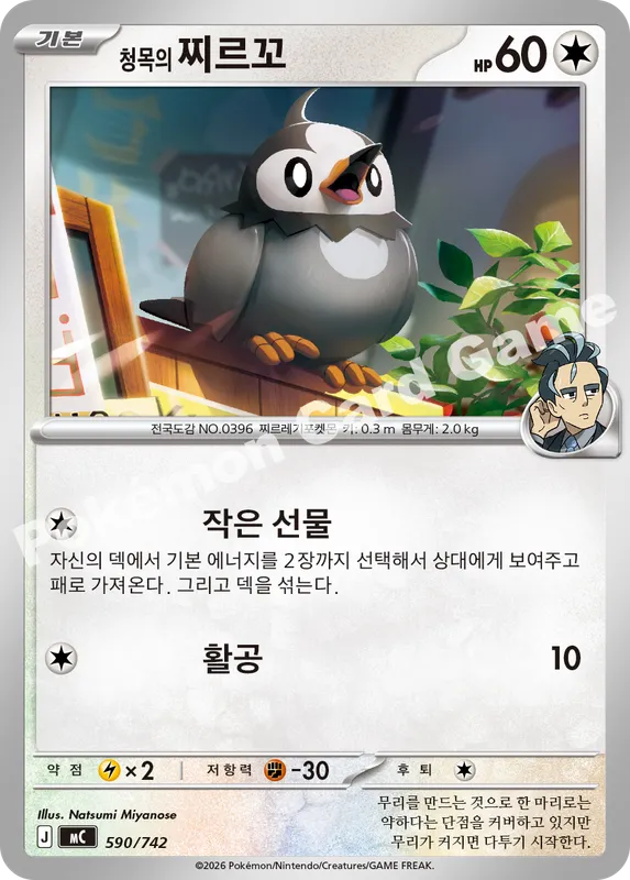 청목의 찌르꼬