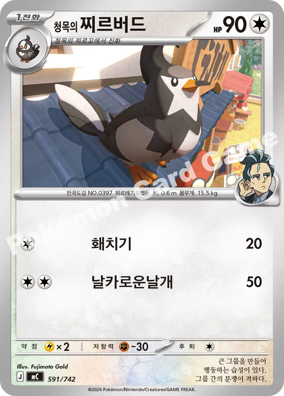 청목의 찌르버드
