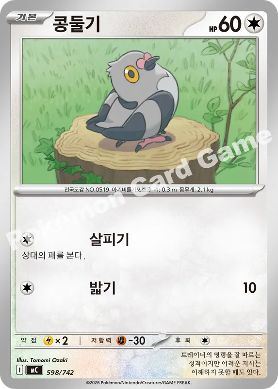 콩둘기