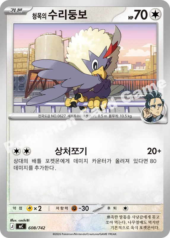 청목의 수리둥보