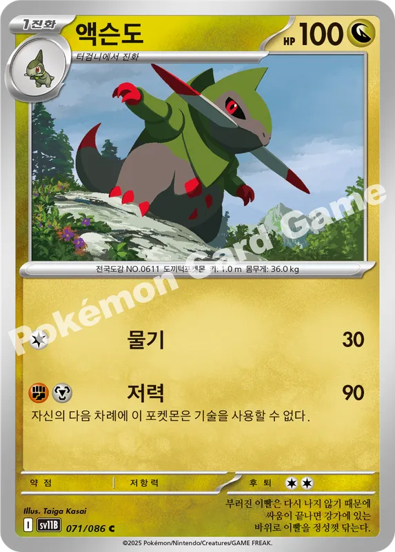 액슨도