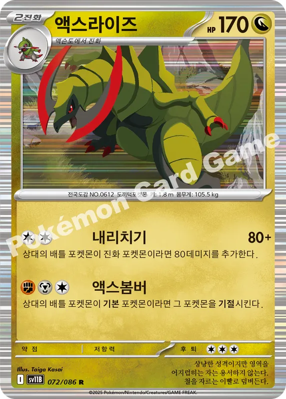 액스라이즈