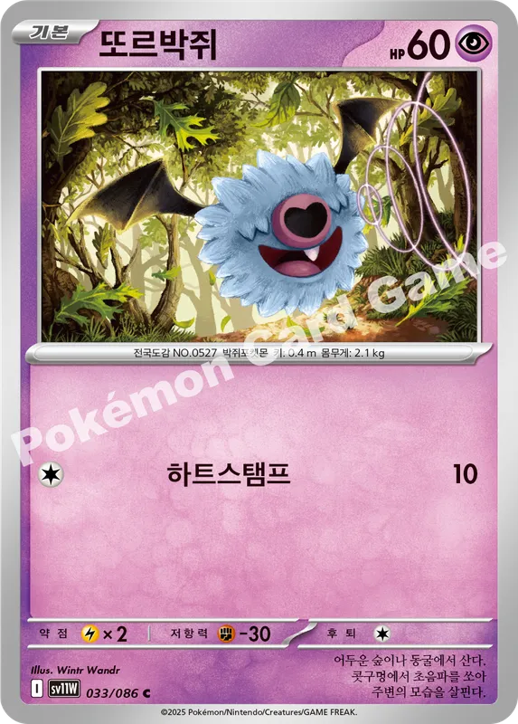 또르박쥐