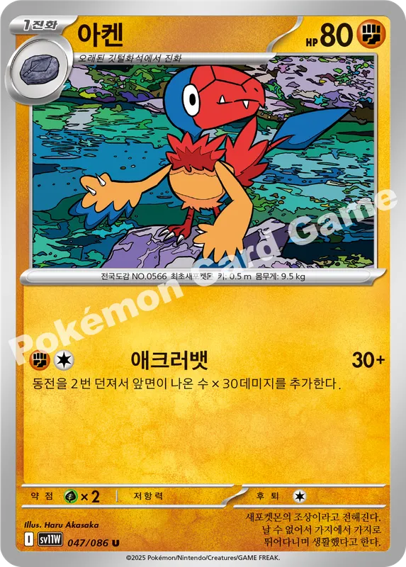 아켄