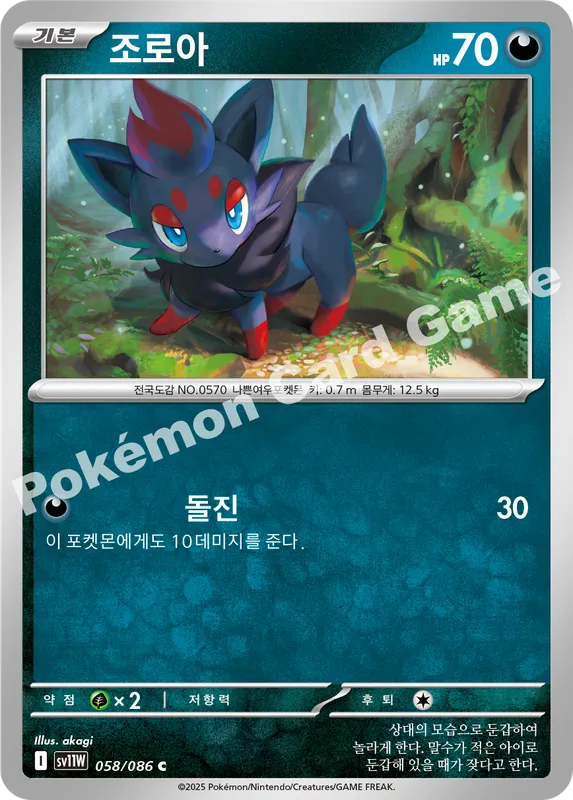 조로아