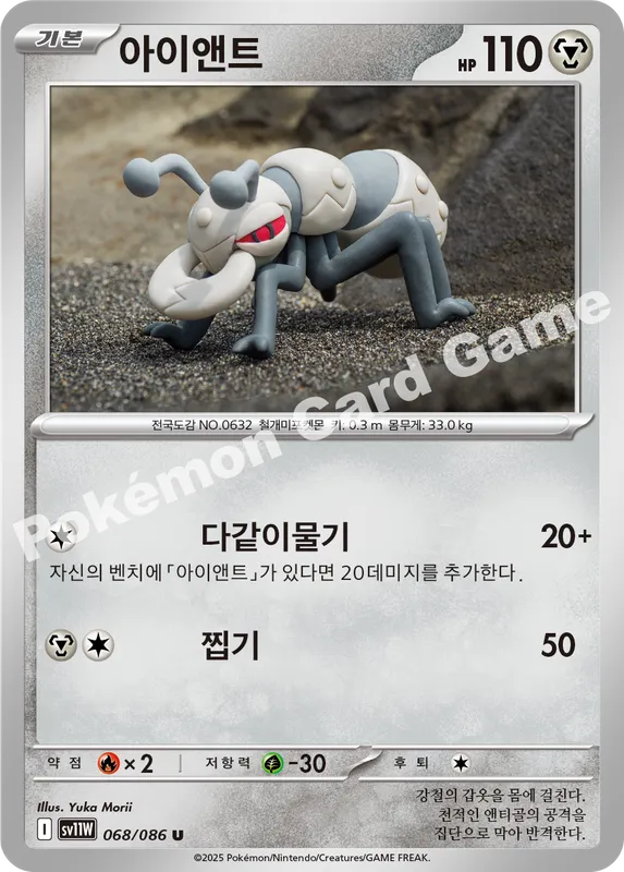 아이앤트
