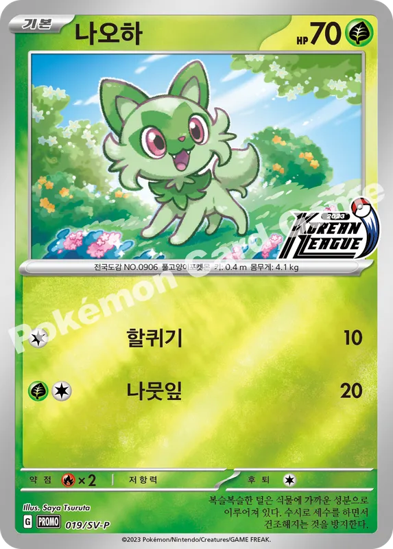 나오하