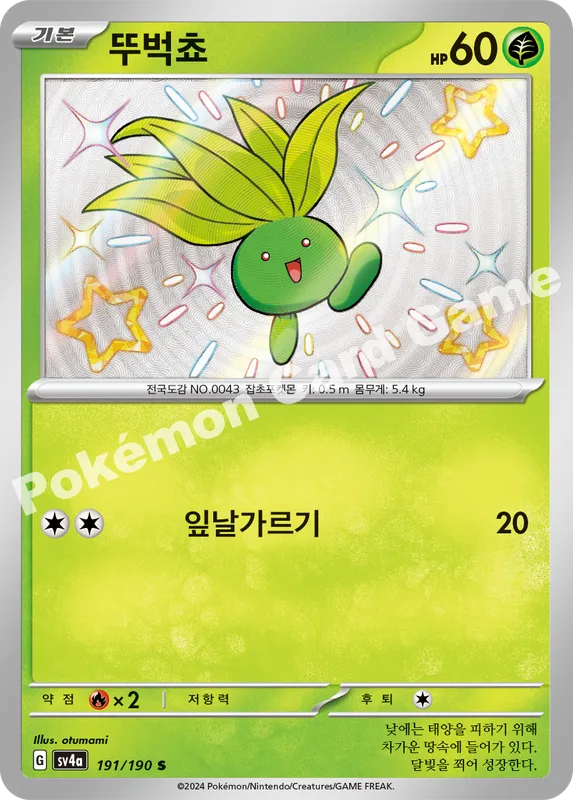뚜벅쵸