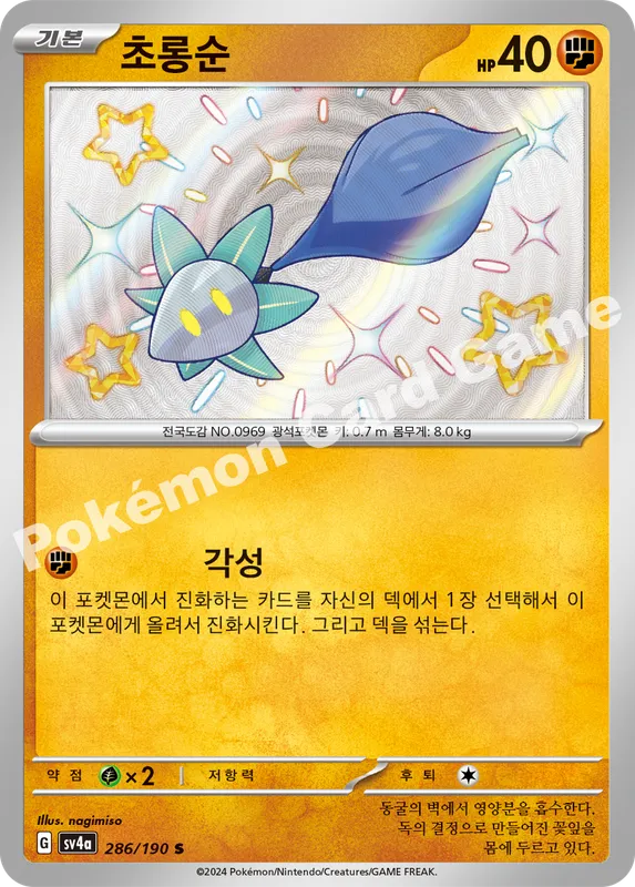 초롱순