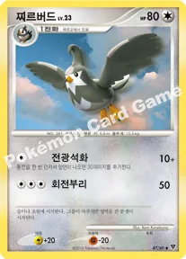 찌르버드