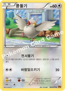콩둘기
