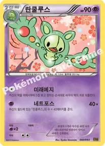 란쿨루스