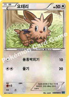 요테리