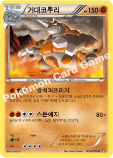 거대코뿌리