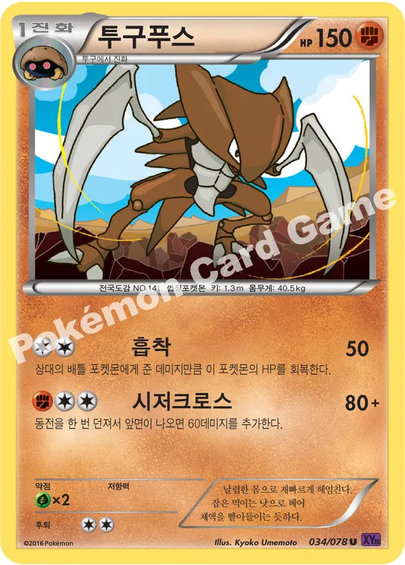 투구푸스