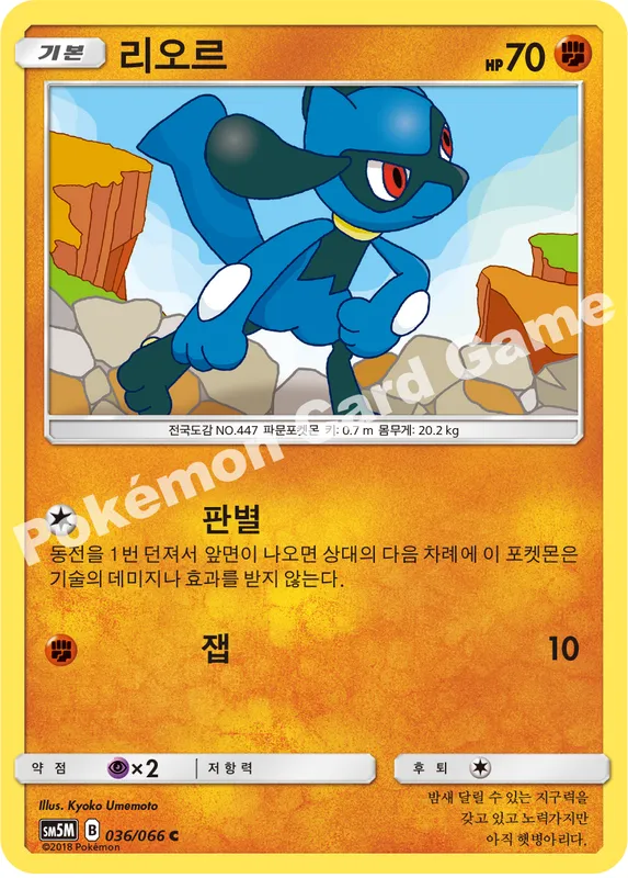 리오르