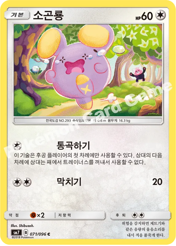 소곤룡