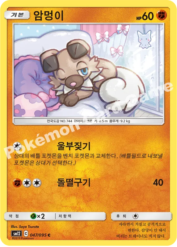 암멍이
