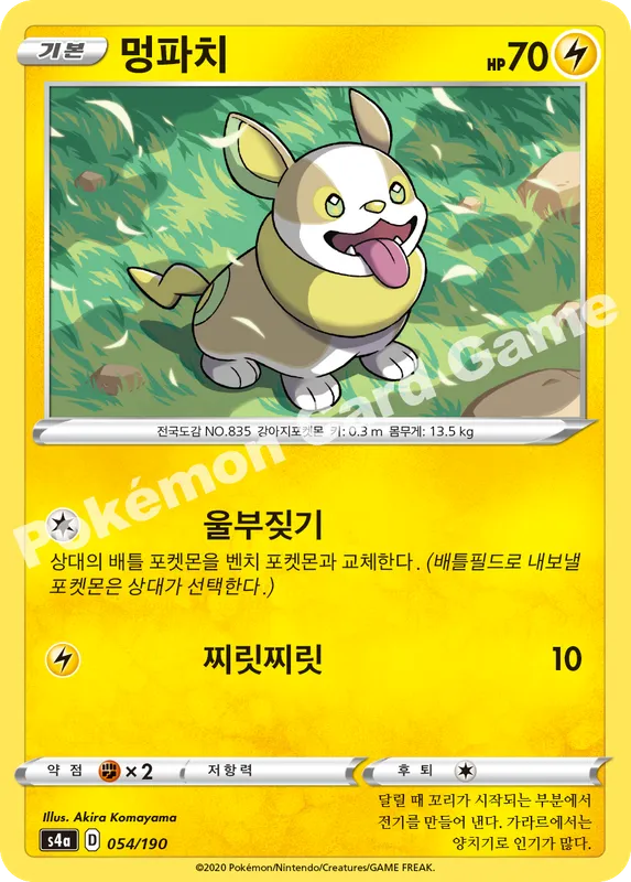 멍파치
