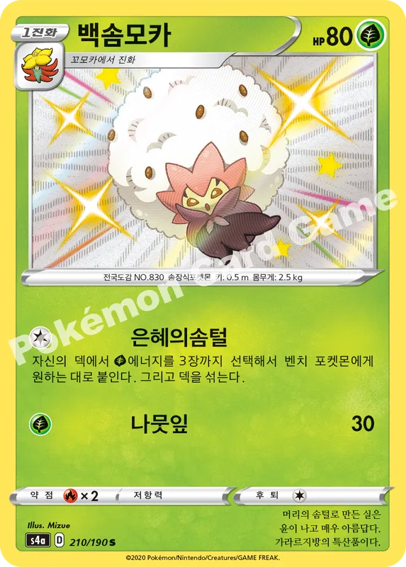 백솜모카