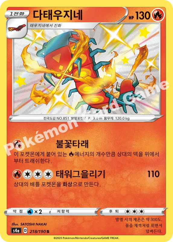 다태우지네