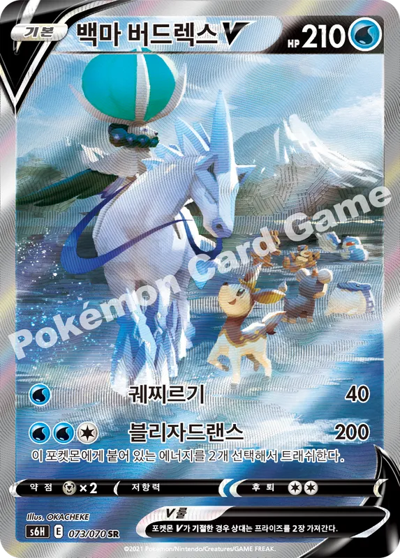 백마 버드렉스 V
