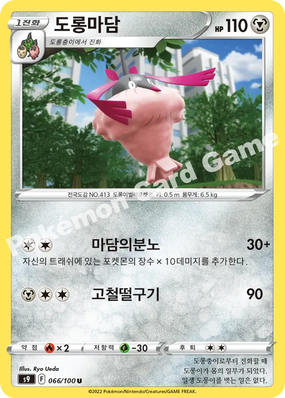 도롱마담