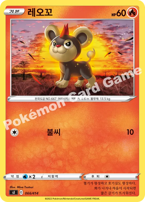 레오꼬