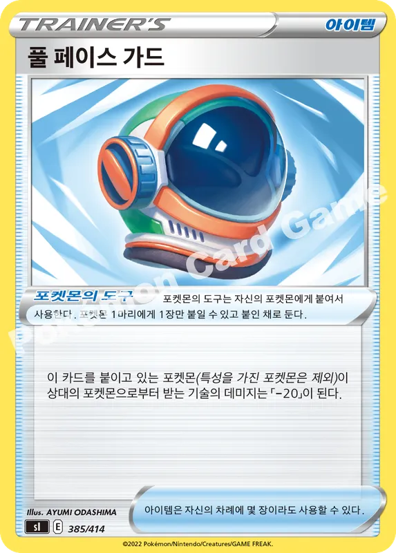 풀 페이스 가드
