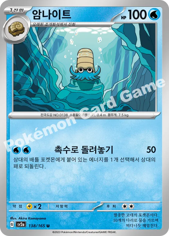 암나이트