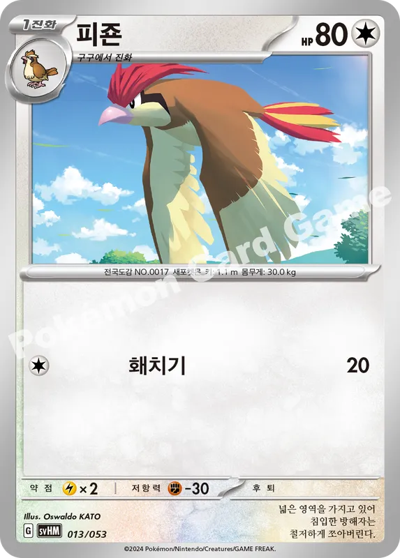 피죤