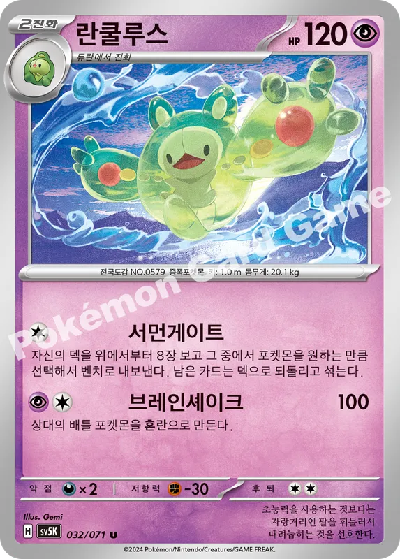 란쿨루스