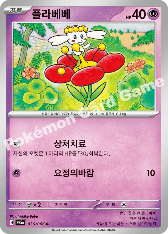 플라베베