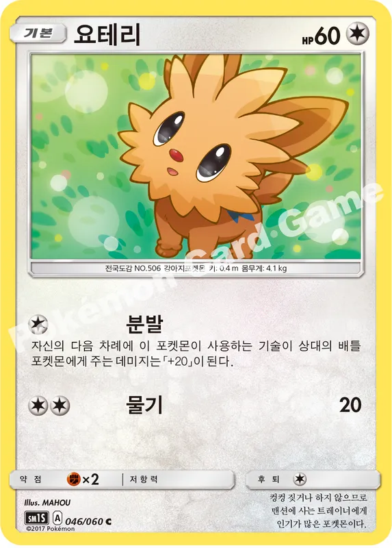 요테리