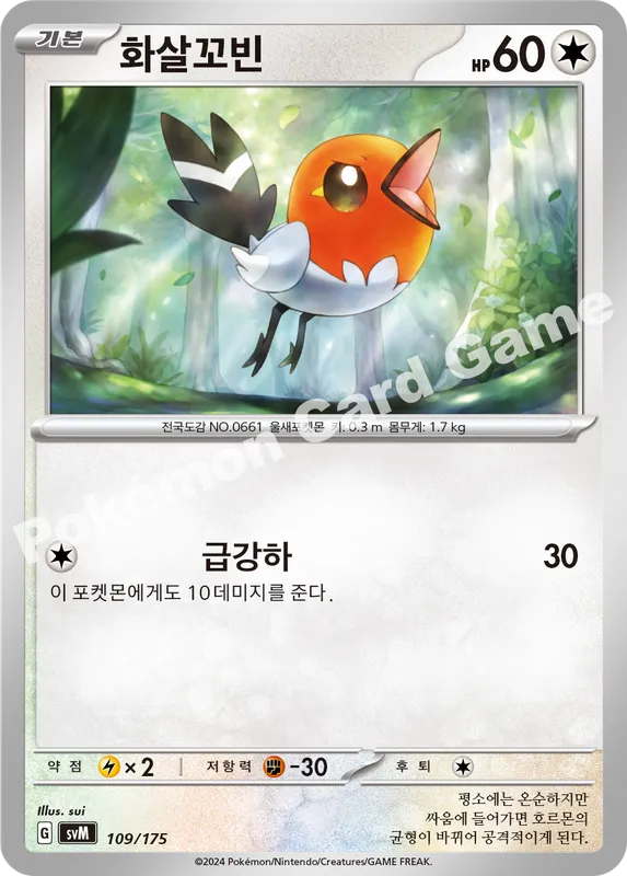 화살꼬빈