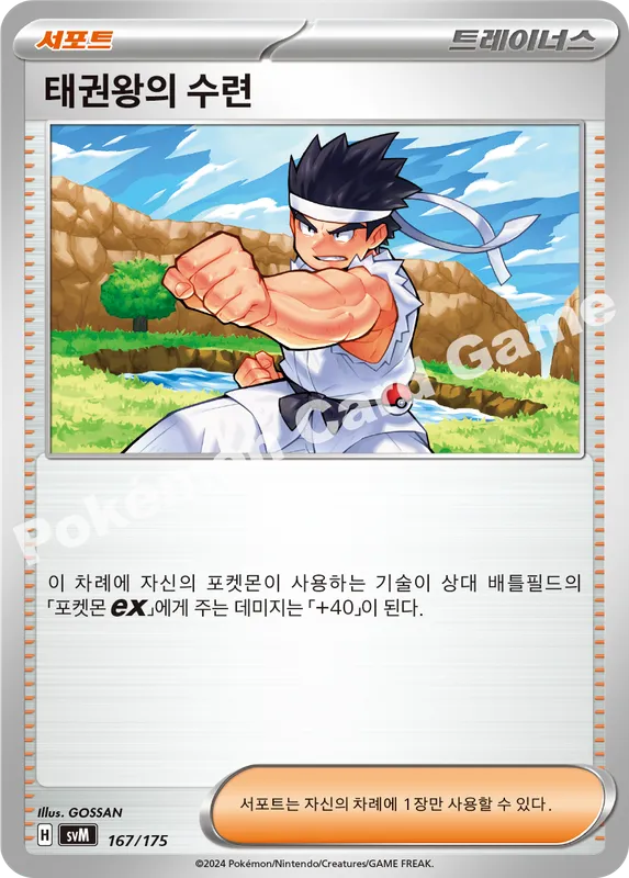 태권왕의 수련