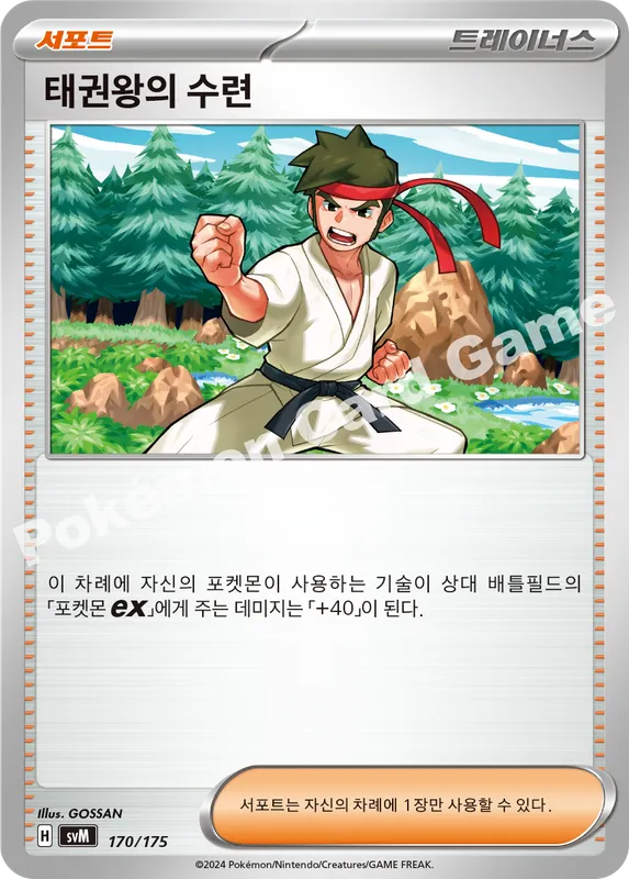 태권왕의 수련