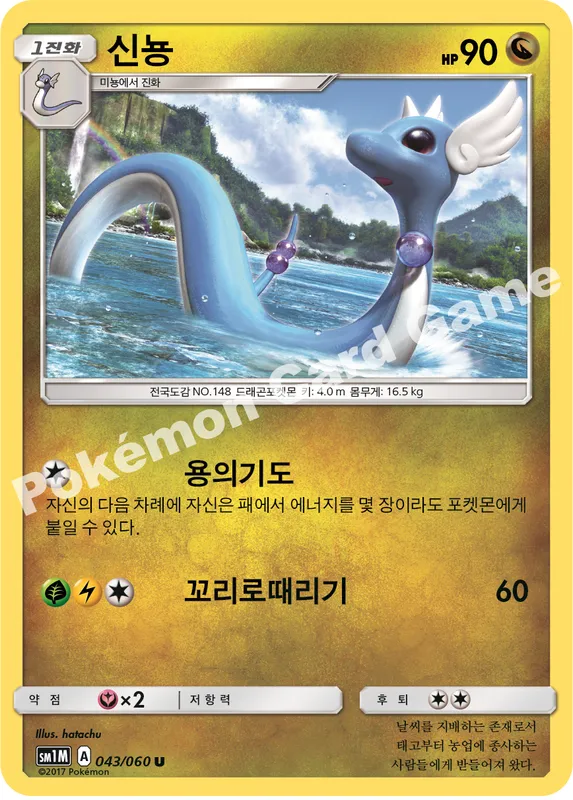 신뇽
