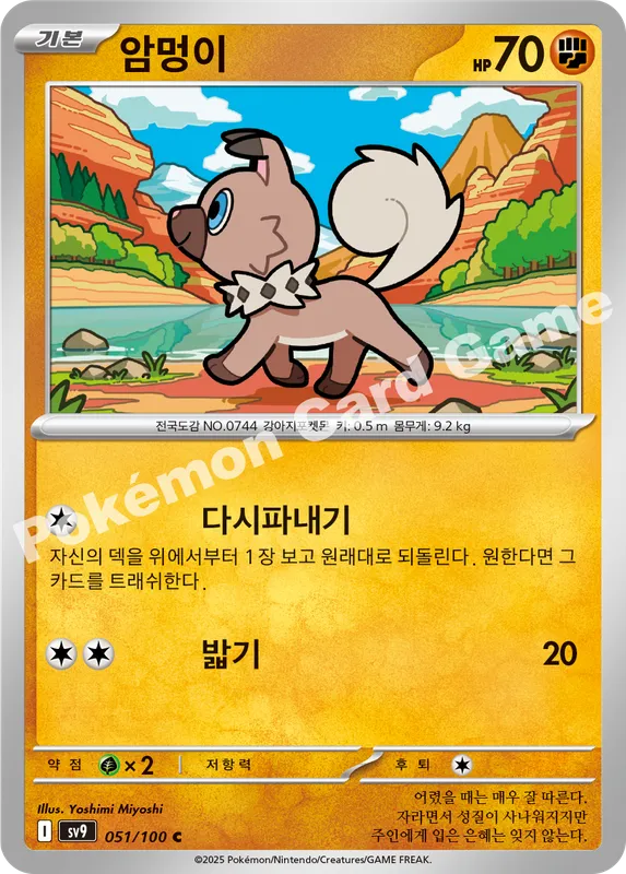 암멍이