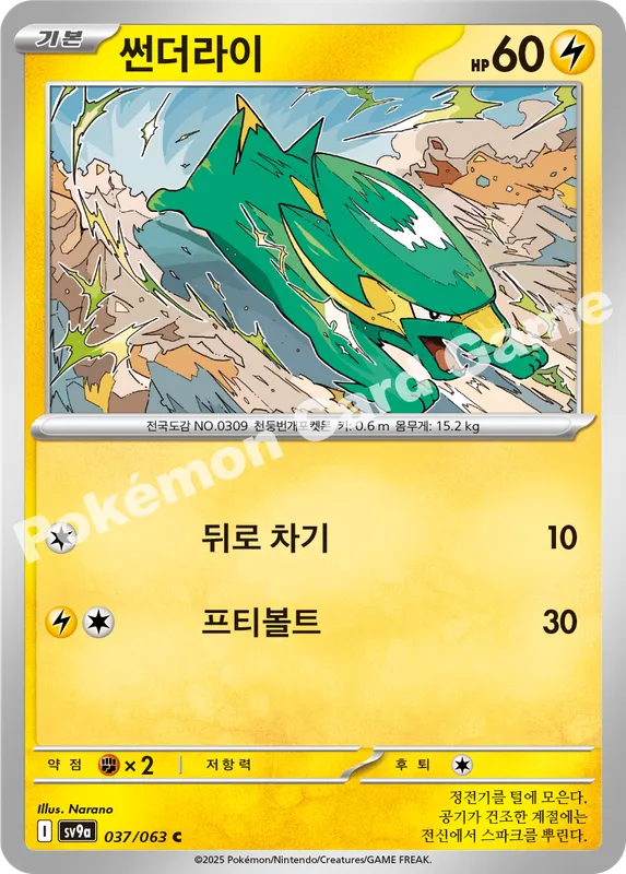 썬더라이